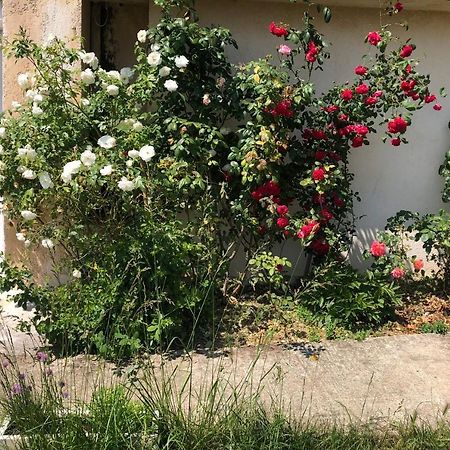Le Jardin Suspendu Lägenhet Rillieux-la-Pape Exteriör bild