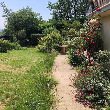 Le Jardin Suspendu Lägenhet Rillieux-la-Pape Exteriör bild