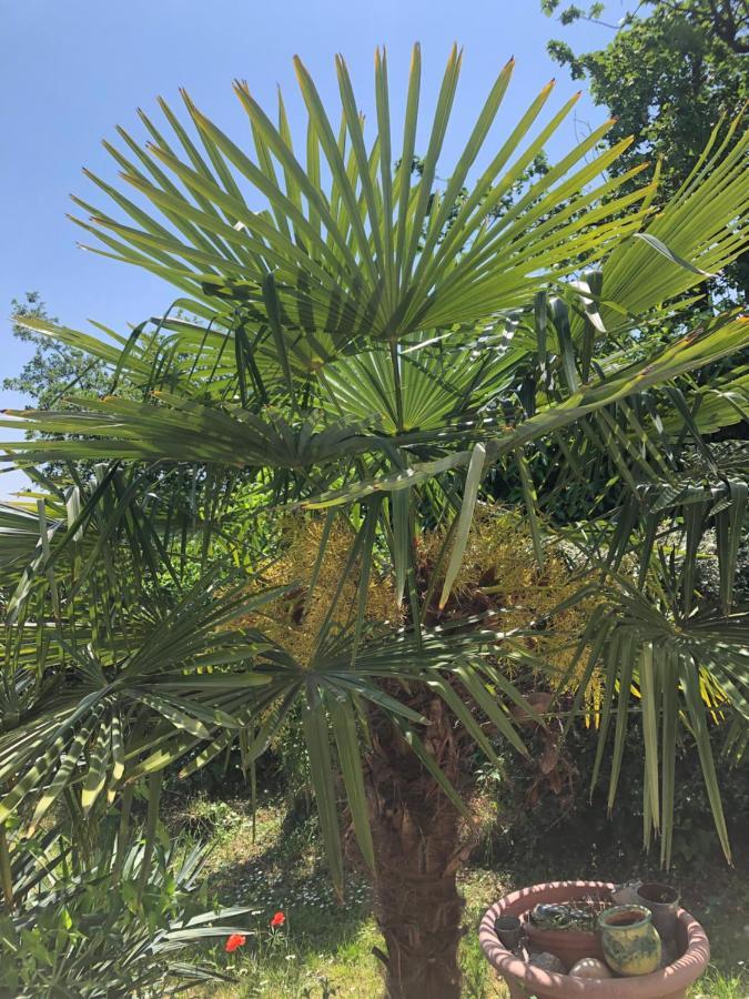 Le Jardin Suspendu Lägenhet Rillieux-la-Pape Exteriör bild
