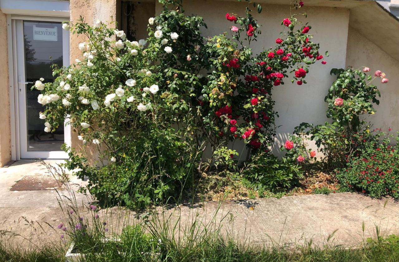 Le Jardin Suspendu Lägenhet Rillieux-la-Pape Exteriör bild