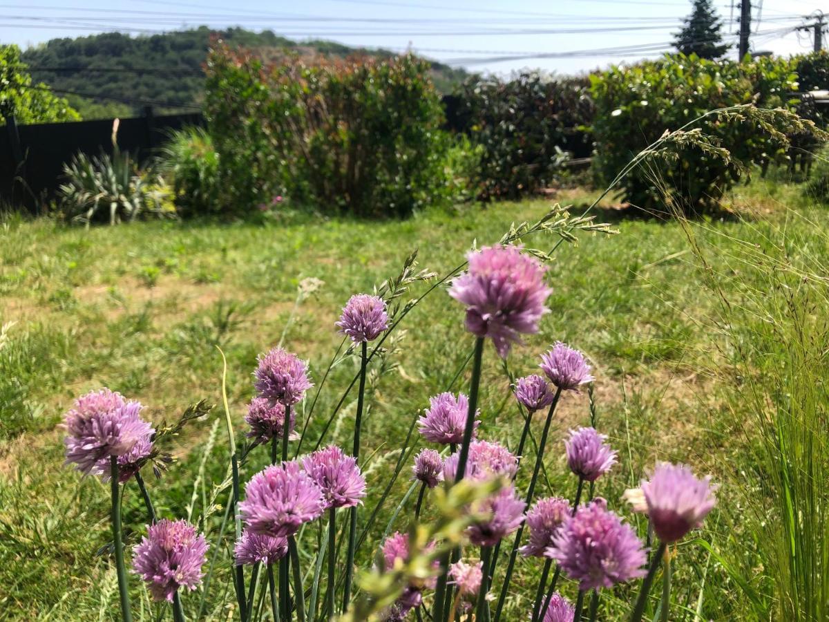 Le Jardin Suspendu Lägenhet Rillieux-la-Pape Exteriör bild